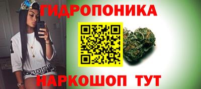 МДПВ Славгород