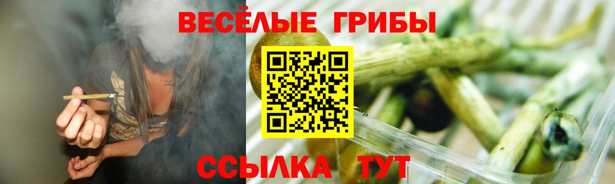 где продают   Вход с VPN  Новодвинск  Псилоцибиновые грибы Psilocybe 